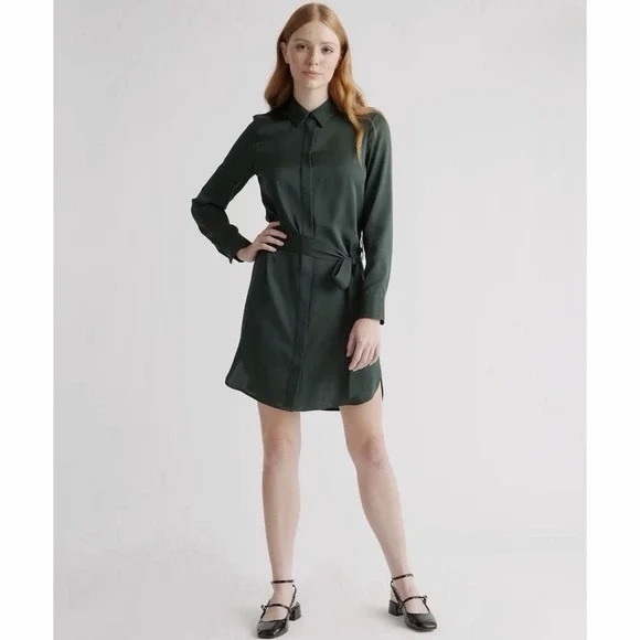Quince Washable Stretch Silk Shirt Dress in Forest Green office luxury luxe feel - Picture 13 of 13